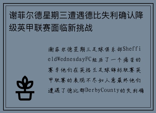 谢菲尔德星期三遭遇德比失利确认降级英甲联赛面临新挑战