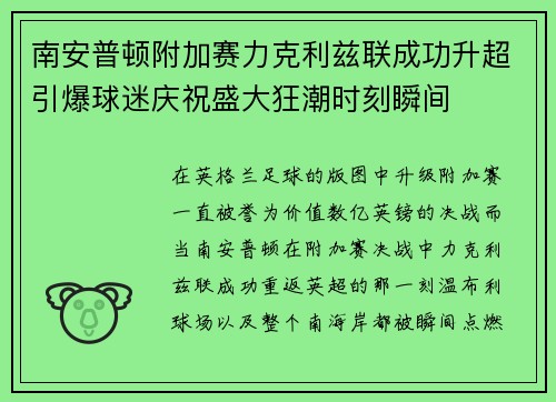 南安普顿附加赛力克利兹联成功升超引爆球迷庆祝盛大狂潮时刻瞬间